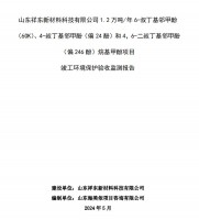 山東祥東新材料科技有限公司1.2萬噸/年6-叔丁基鄰甲(60K)、4-叔丁基鄰甲酚(偏 24 酚)和 4，6-二叔丁基鄰甲酚(偏 246 酚)烷基甲酚項目竣工環境保護驗收監測報告